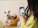 【フォトスポット】愛犬との旅の思い出作りに(イメージ)
