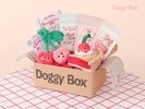 【Doggy Boxコラボ】箱の中身は開けるまでお楽しみに ※画像はイメージです