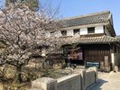 【美観地区】情景