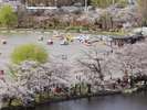 ★上野公園