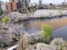 ★上野公園