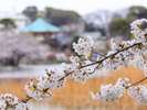 ★上野公園