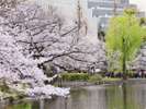 ★上野公園