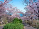 【旧国鉄手宮線跡地】<徒歩約10分>北海道で最初に開業した鉄道跡地。現在は散策路として親しまれている