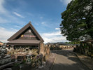 世界自然遺産登録地屋久島 屋久杉記念館