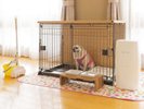 【愛犬同伴専用客室】和室<禁煙>