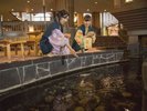 カワイイ鯉、金魚に是非餌をあげてみて下さい♪