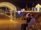 34万球の光のアート!ナイトイルミネーション (期間限定)