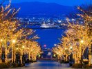 八幡坂 夜 イルミネーション