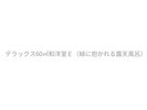 デラックス60u和洋室E(ワイド露天風呂ルーム付)