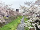 一の坂川
