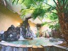 青々とした植物がたくさん植えられておりマイナスイオン効果も☆