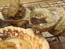 人気の貝たち♪お好みの焼き加減で召し上がっていただけます☆