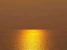 黄金色の夕日の道