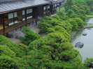 梅雨時期の松濤園はいつもとは違った魅力があります。