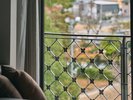 【和洋室〜菖蒲 SHOUBU】江戸時代の面影残る御池を中心とした東庭園側のお部屋です。