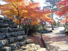 紅葉(松坂城跡)