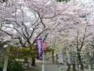 宣長まつり