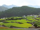 深野のだんだん田