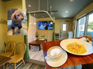 【cafe&candleなないろ 車で約1分】塩原に新しくできた綺麗でオシャレなカフェ。看板犬がお出迎え!