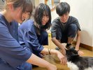 普段は事務所でおとなしくしているクロですが、ご希望があれば会いに行けます。餌やり体験もぜひどうぞ。
