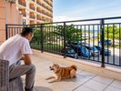 �y�R���h���@�h�b�O�t�����h���[���[���i67�`74���āj�z���