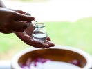 �yThe Green Spa�z�A���}�I�C���i�C���[�W�j