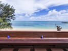 �yBeach House�z�z�e���̖ڂ̑O�u�y���r�[�`�v�ɂ��h���Ҍ���̃r�[�`�n�E�X���������܂�