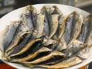 沼津名物 アジの開き