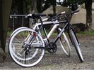 【レンタルサイクル】山中湖の湖畔沿いはサイクリングロード。一周60分程度で走れます。