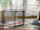 【客室】ワンちゃん受入可能なドームテントをご用意してます。