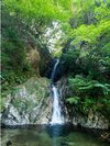 キャンプ場内の滝