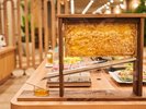 【朝食ビュッフェ】ハチミツ