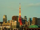 ペントハウスのテラスからは、東京の景色が一望できます。