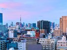 ペントハウスのテラスからは、東京の景色が一望できます。