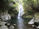 琴の滝(ホテルから車で17分):周参見川支流の広瀬渓谷に琴の滝を含む10余の滝が点在