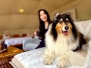 ドームの中でもずっと一緒愛犬と過ごす安心のグランピング時間