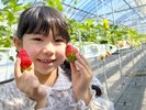 期間・数量限定★あま〜い苺の食べ放題! ※別途有料
