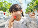 あま〜いイチゴの食べ放題★別途有料