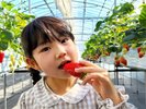 あま〜いイチゴの食べ放題★別途有料