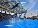 海の仲間に会いに行こう! 画像提供:名古屋港水族館