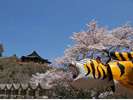 当宿からお車で約15分の信貴山朝護孫子寺。「張子の寅」で有名です。
