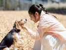 ウッドチップを敷き詰めたDOG PARKはわんちゃんにとって最高の遊び場!