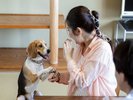 わんちゃん専用のアメニティが充実で、初めてのわんちゃんとの旅行でも安心!