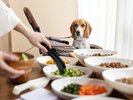 【朝食ビュッフェ】わんちゃん用メニューも充実