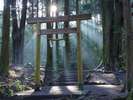 【山神社】霧島神宮の中にある神秘的な雰囲気の神社。