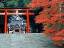 【霧島神宮】例年12月頃に紅葉の見頃を迎える