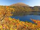 【大浪池】11月中旬頃に紅葉の見頃を迎える。駐車場から30分程度上ると絶景が広がる