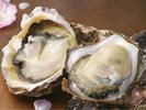海士町産 岩牡蠣