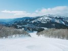 �y�E�C���O�q���Y�������]�[�g�z�h�b�O��񁕃S���h���V���A�����ƈꏏ�ɐ�V�сI